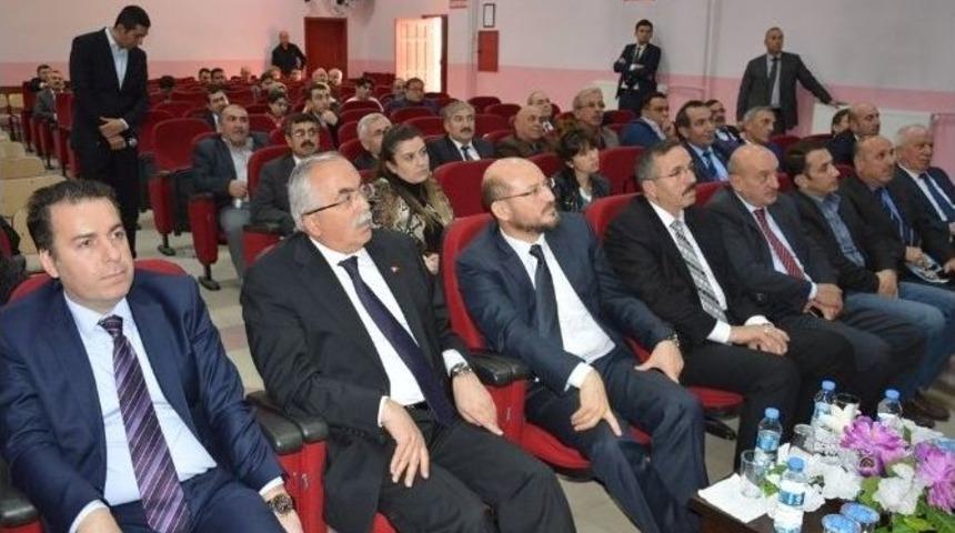 Niksar, Unesco Yolunda