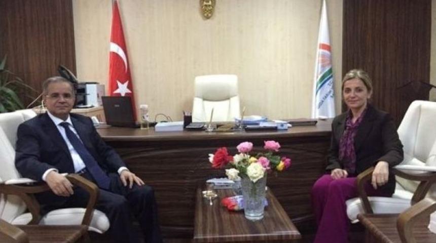 Vali Tapsız, Kurumları Ziyaret Etti