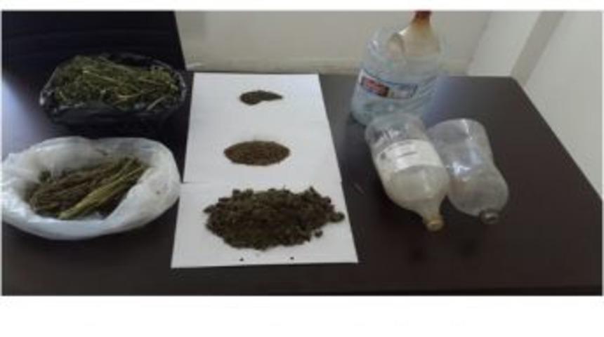 Jandarma Uyuşturucu Satıcılarına Operasyon D&uuml;zenledi