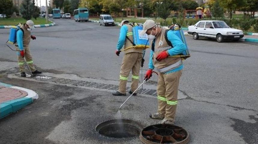Haliliye&rsquo;de Larva M&uuml;cadelesi