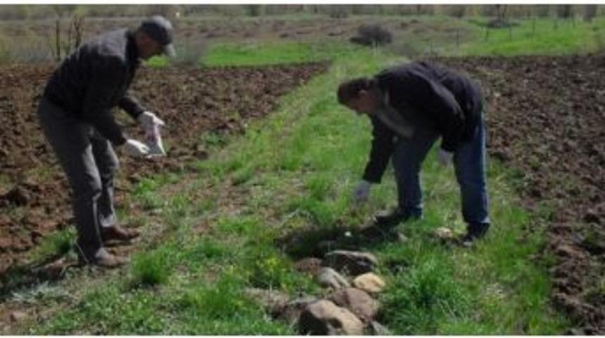 Haymana Ziraat Odası Başkanı Balık&ccedil;ı: &ldquo;&ouml;len Fareleri G&ouml;m&uuml;n&rdquo;