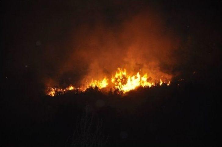 Manavgat’ta Orman Yangını G2