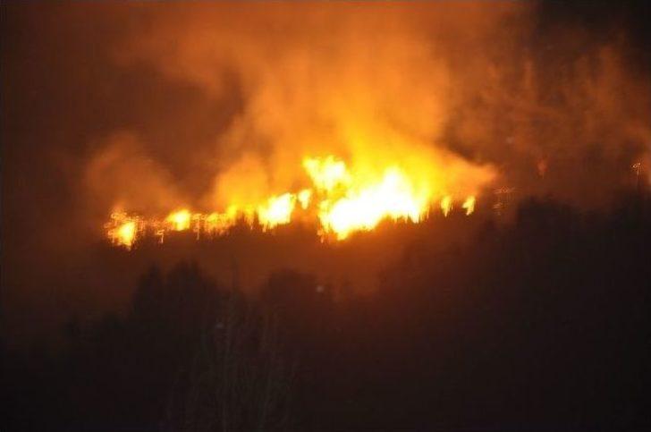 Manavgat’ta Orman Yangını G3