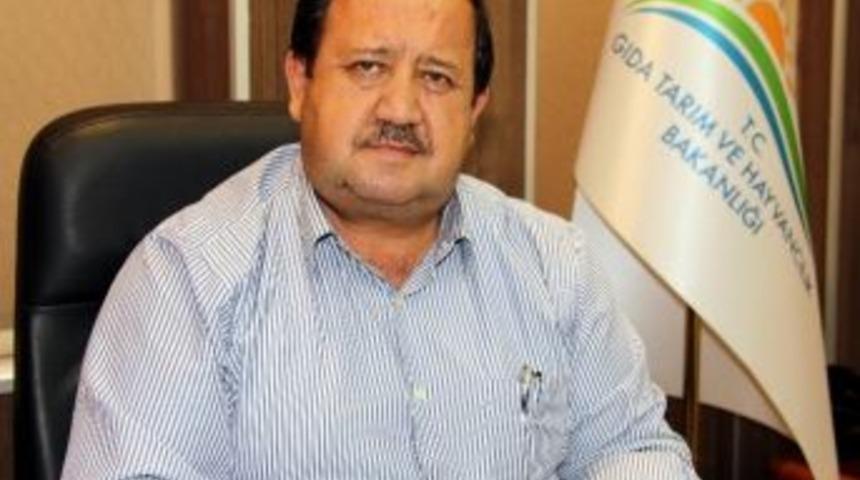 94 Gıda İşletmesine 467 Bin Lira İdari Para Cezası