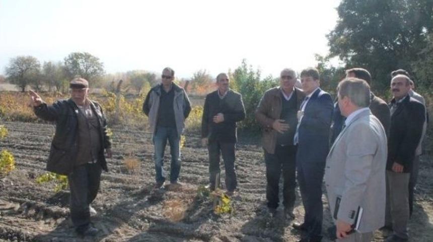 Turhal Bağcılığını Geliştirme Toplantısı
