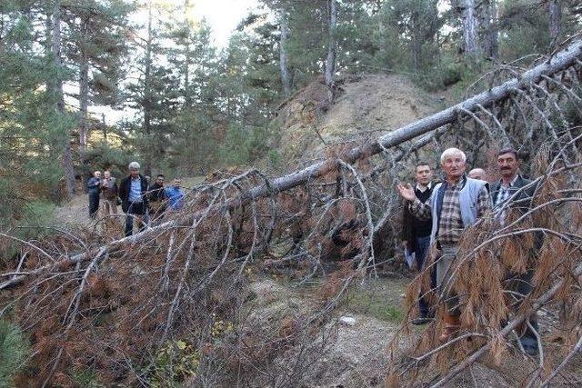 Dsi Bölge Müdürü Baysal, Hisarcık’ta İncelemelerde Bulundu