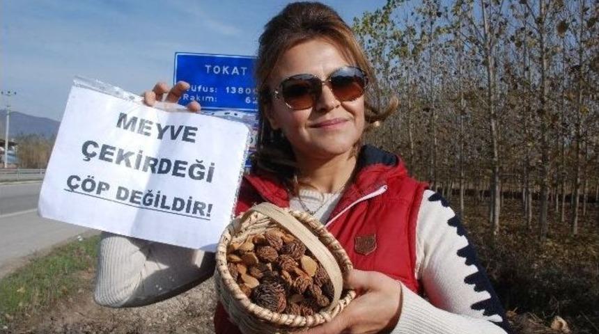 Meyve &Ccedil;ekirdeklerini &Ccedil;&ouml;pe Atmaya Kıyamayınca