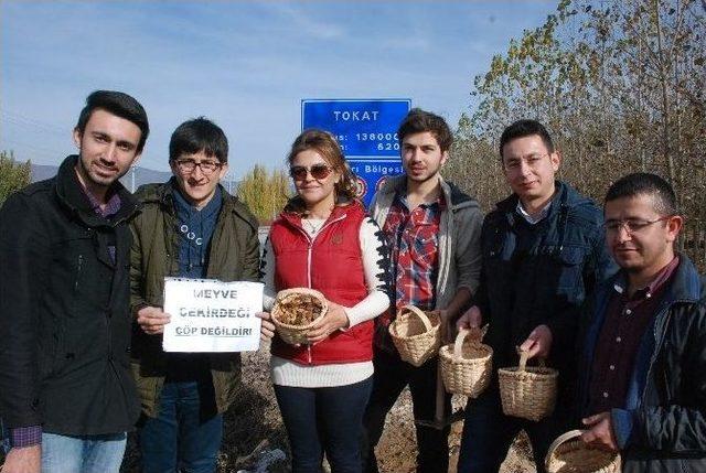 Meyve Çekirdeklerini Çöpe Atmaya Kıyamayınca