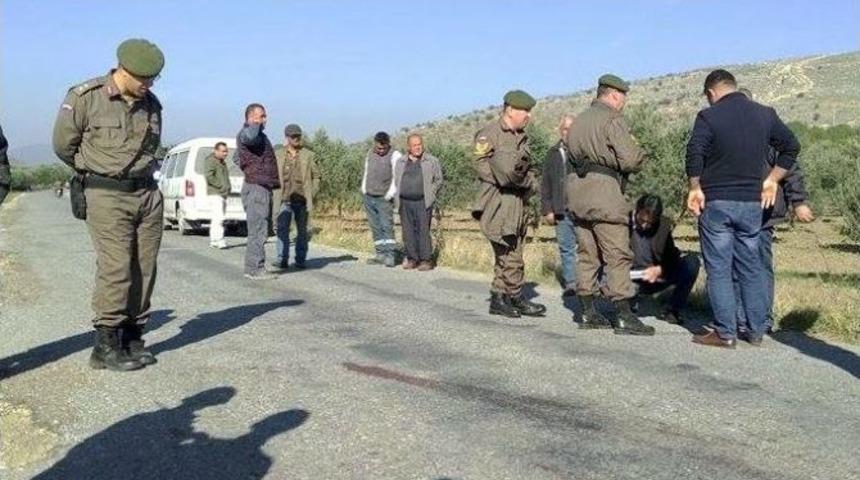 Zeytin Paralarını Alıp &Ouml;ld&uuml;rd&uuml;ler