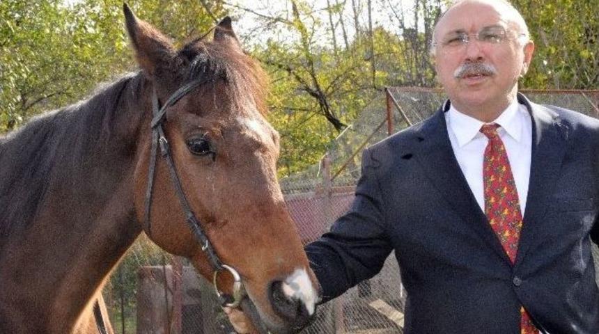 Doğu Karadeniz&rsquo;in İlk Atlı Spor Kul&uuml;b&uuml; Giresun&rsquo;da Kuruldu