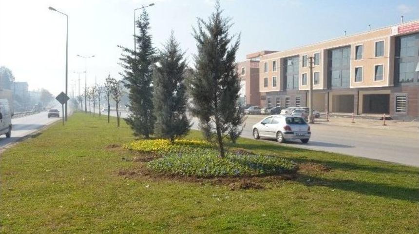 D&uuml;zce Kış &Ccedil;i&ccedil;ekleri İle S&uuml;sleniyor