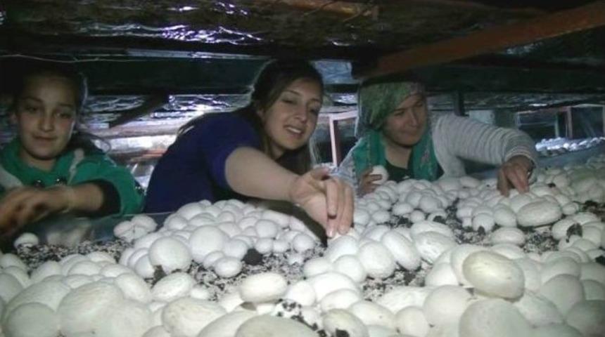 (&ouml;zel Haber) Evinde Patron Oldu