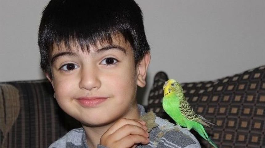 (&ouml;zel Haber) Tarhana Tiryakisi Muhabbet Kuşu