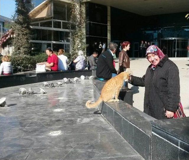 Pastırma Sıcakları Vatandaşları Sevindirdi