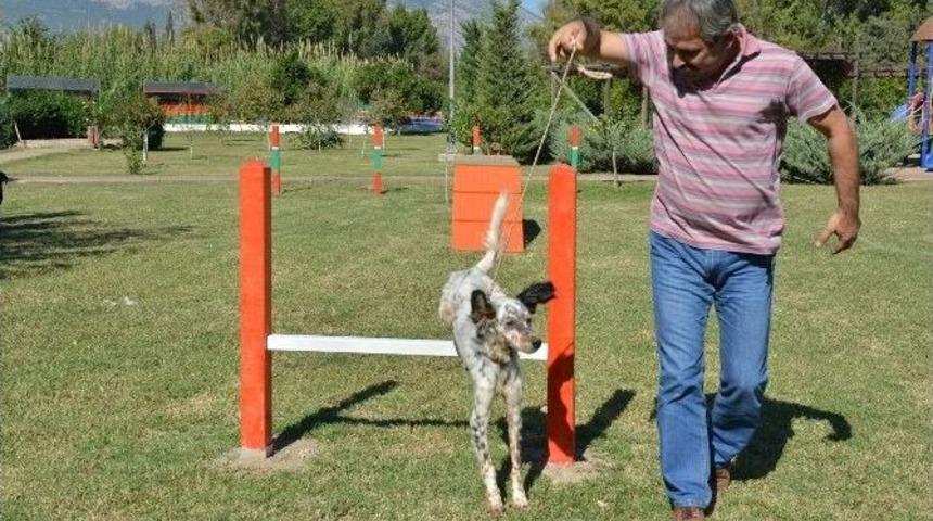 Konyaaltı&rsquo;nda Evcil Hayvanlara Oyun Parkı