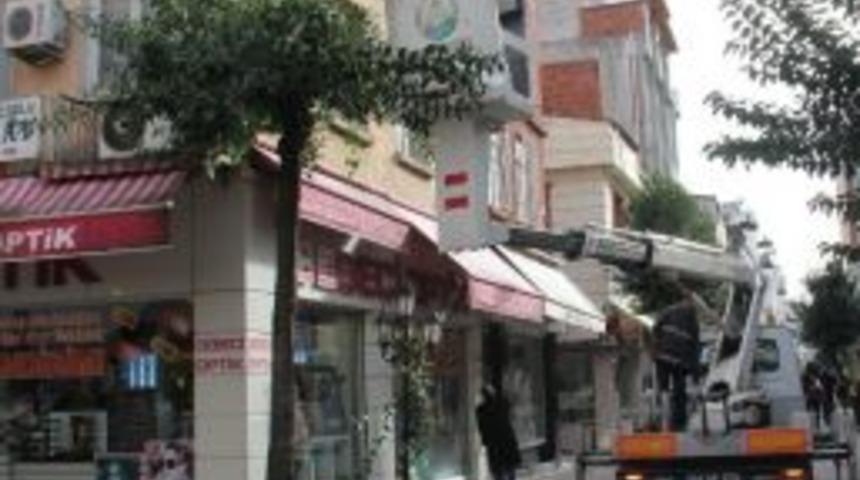 Altınordu&rsquo;da Ağa&ccedil;lar Budanıyor