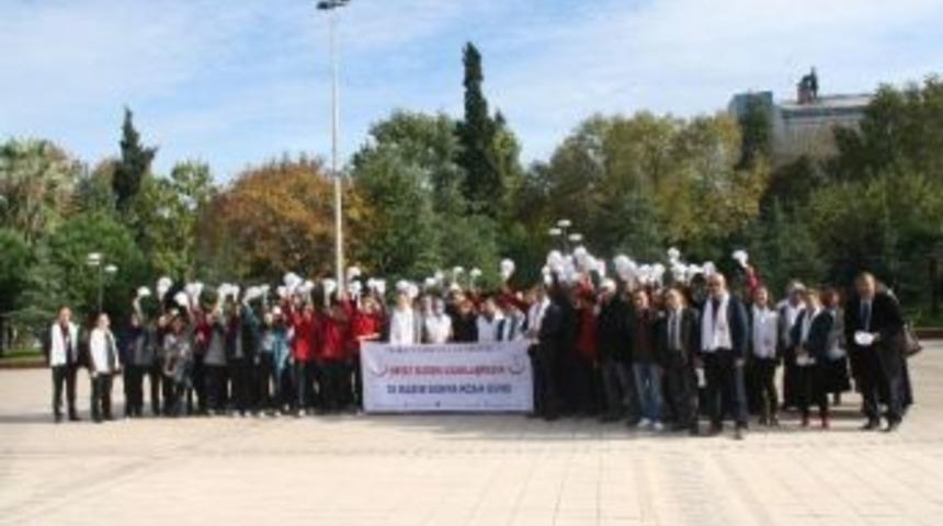 Koah&rsquo;a Dikkat &Ccedil;ekmek Amacıyla Y&uuml;r&uuml;d&uuml;ler