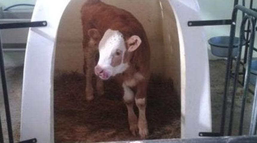 Kars&rsquo;ta Dap Projesi İşletmeler Kuruyor