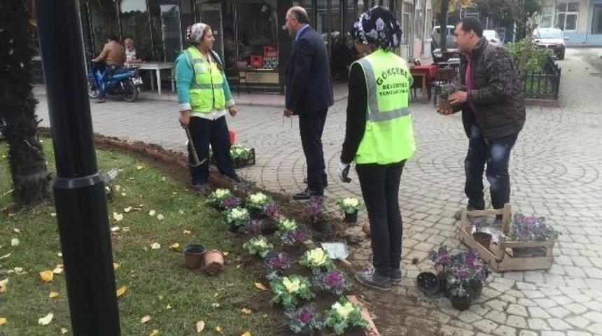 G&ouml;k&ccedil;ebey&rsquo;de Peyzaj &Ccedil;alışmaları S&uuml;r&uuml;yor