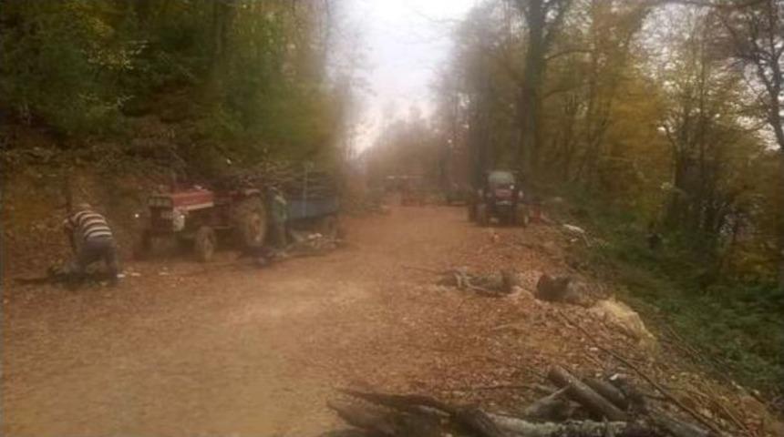 Kestiği Ağacın &Uuml;zerine Devrilmesi Sonucu Hayatını Kaybetti