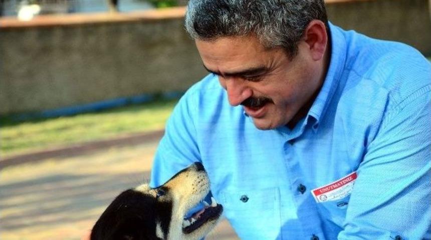 Belediye Başkanı Sevdiği K&ouml;peğin Saldırısına Uğradı