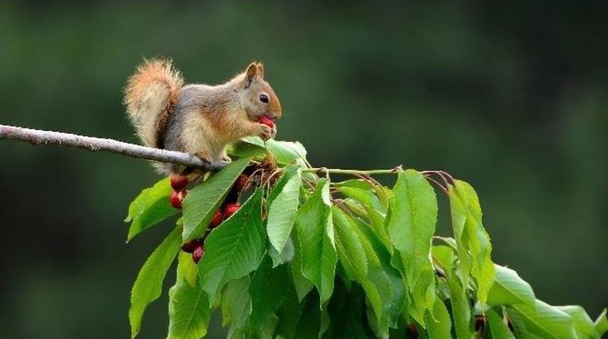 Denizli Fotoğraf Yarışması Sonu&ccedil;landı