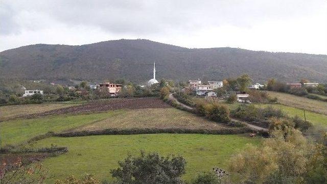 Samsun Zootekni Derneği’nden 