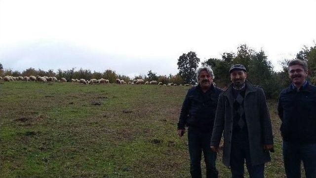 Samsun Zootekni Derneği’nden 