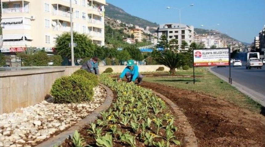 Alanya&rsquo;da Kışlık &Ccedil;i&ccedil;ekler Parkları S&uuml;slemeye Başladı