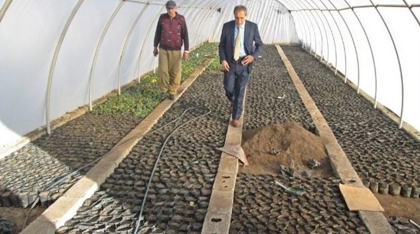 Başkan &Ouml;zdemir, G&ouml;lbaşı İl&ccedil;esinde Sera &Ccedil;alışmalarını İnceledi