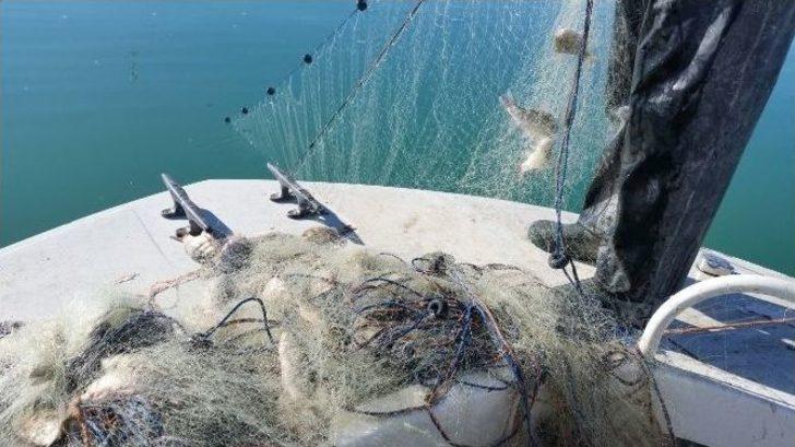 Göldeki Yavru Balıkları Da Avlamışlar G3