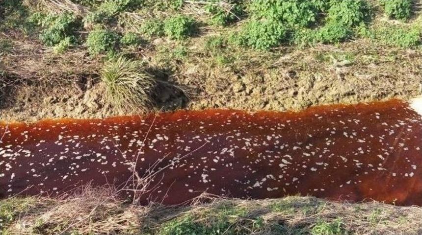 Sakarya&rsquo;da Dere Kızıla B&uuml;r&uuml;nd&uuml;