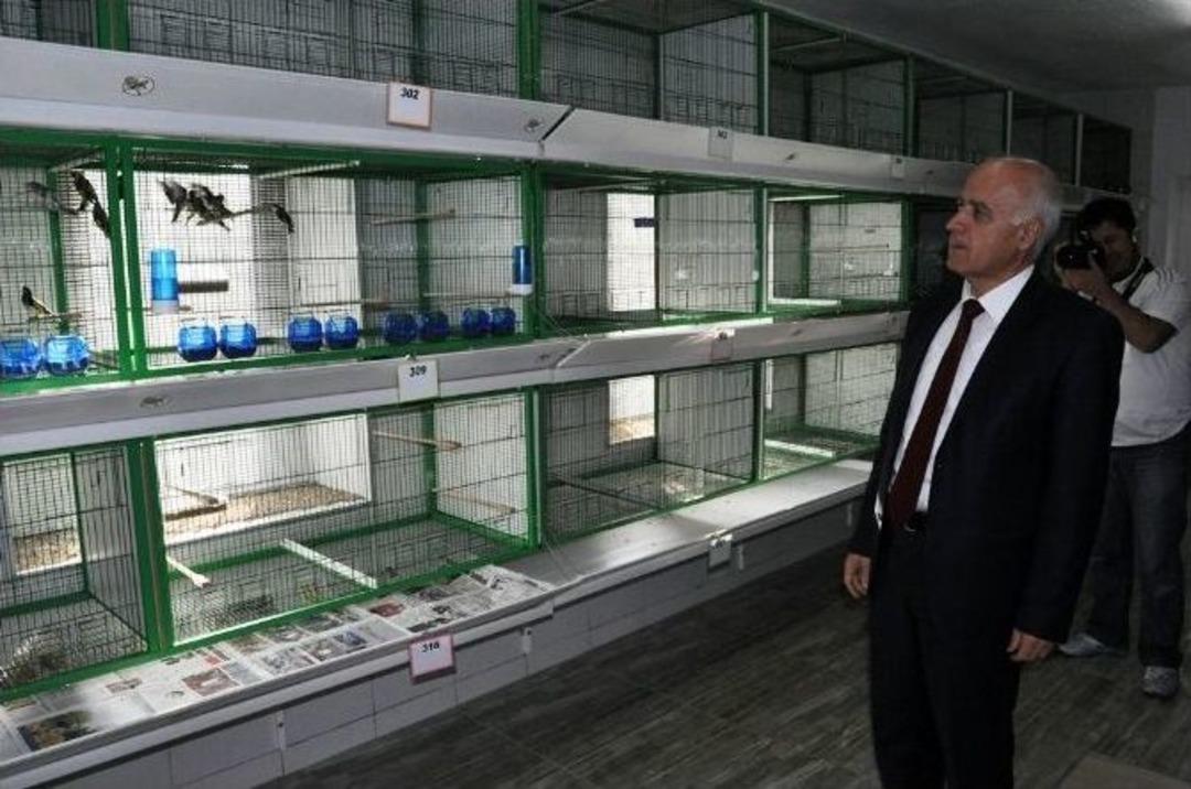 T&uuml;rkiye&rsquo;nin İlk Ve Tek Saka &Uuml;retim Tesisi Hizmete Girdi