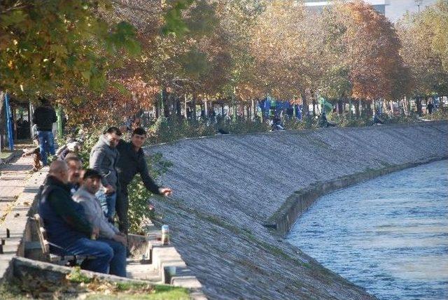 Tokatlılar Güneşin Tadını Çıkardı