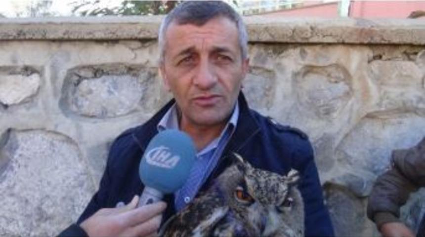 Duyarlı Vatandaş Yaralı Baykuşa Sahip &Ccedil;ıktı