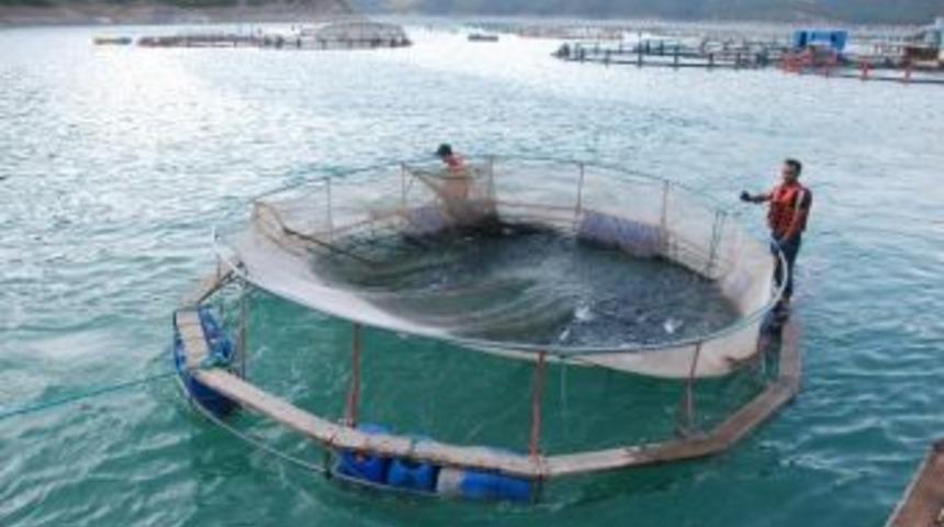 Baraj G&ouml;l&uuml; Balık Avcılığı İ&ccedil;in Kiraya Verilecek