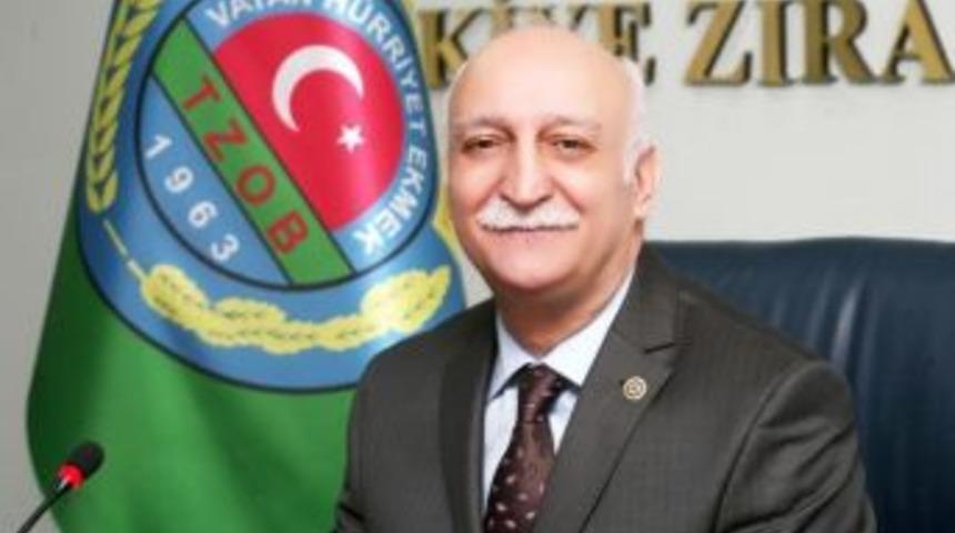 Muz Üretimi Yeni Bir Rekora Koşuyor