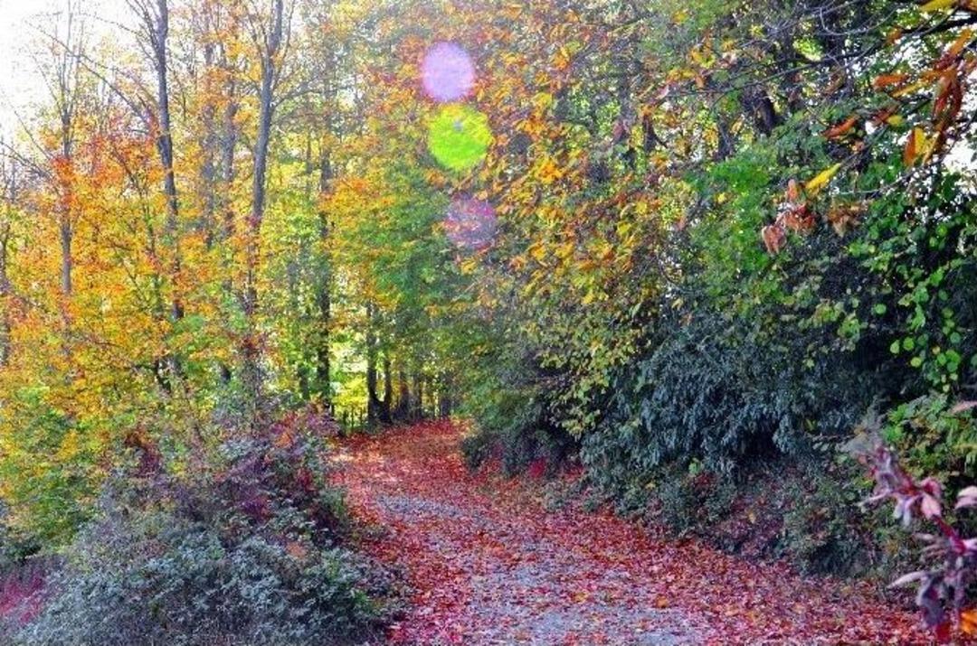 Zonguldak&rsquo;ta Sonbahar