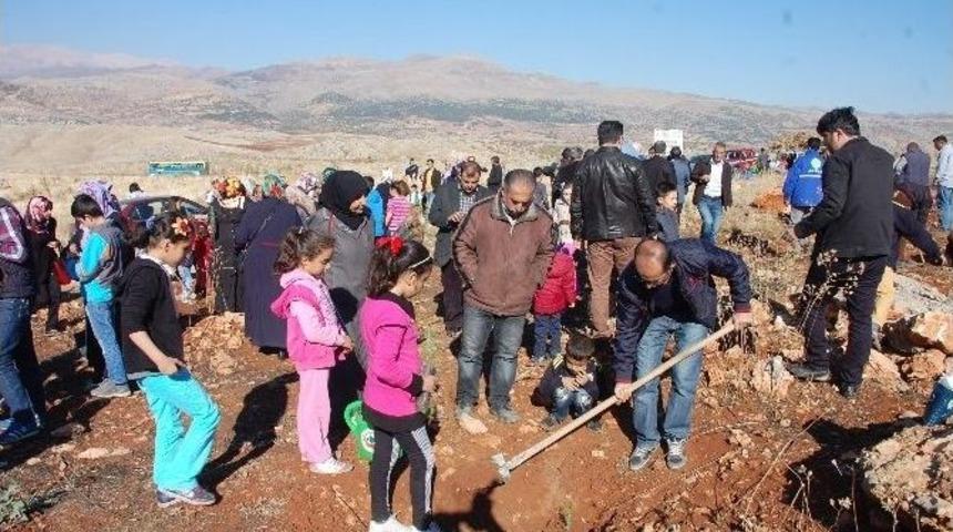 Yetim &Ccedil;ocuklar Fidan Dikti