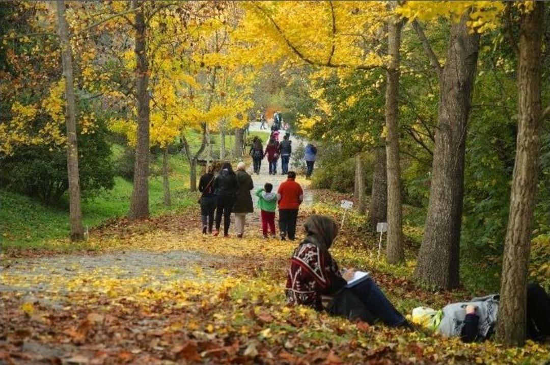 Sonbaharın T&uuml;m Renkleri Atat&uuml;rk Arboretumu&rsquo;nda