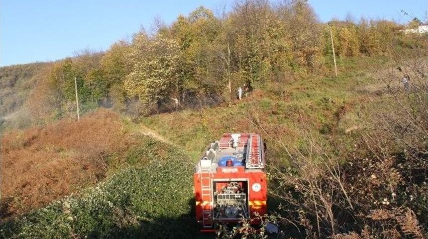Elektrik Telleri Ağa&ccedil;lara Değince Orman Yandı