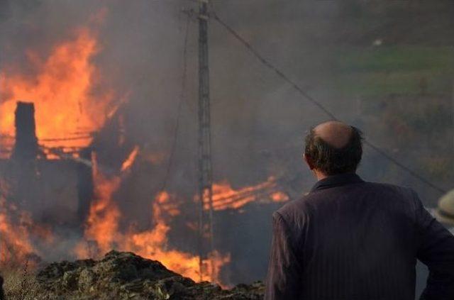 Tosya’da 5 Ev Kül Oldu