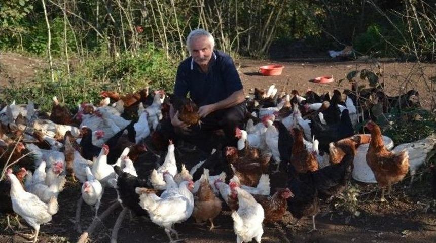 Vali Olamadı &Ccedil;ift&ccedil;i Oldu