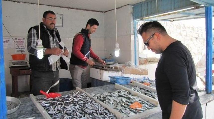 Balık Fiyatlar D&uuml;şt&uuml;