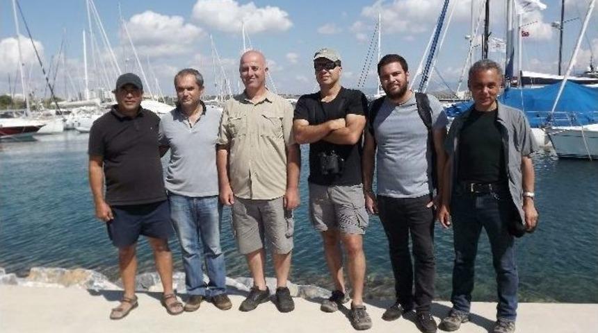 D&uuml;nyaca &Uuml;nl&uuml; Kuşbilimci Fırtına Kırlangıcı İ&ccedil;in Didim&rsquo;e Geldi