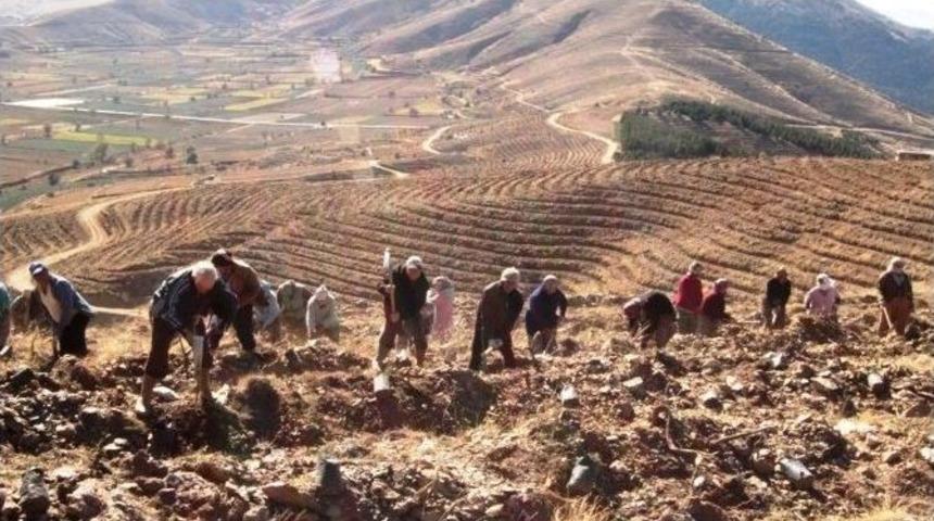 Bozdağ&rsquo;a 5 Yılda 1 Milyon 200 Bin Fidan