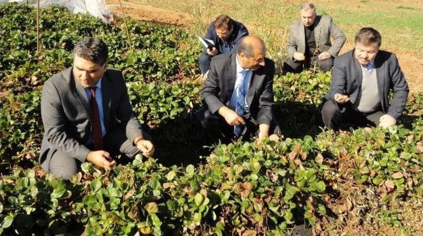 Elazığ&rsquo;da &Ccedil;ilek &Uuml;retimi Geliştiriliyor