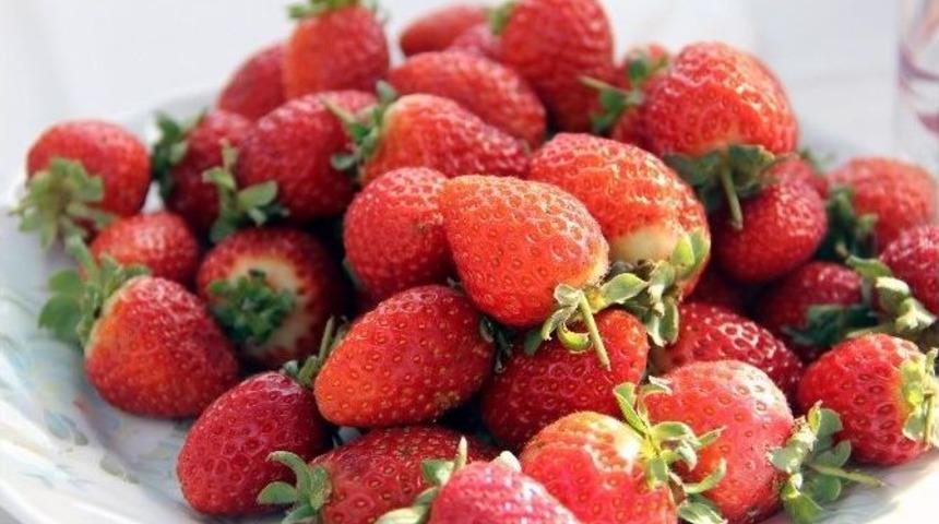 "vali Hanım" &Ccedil;ileği Daha Tarladayken Satıldı