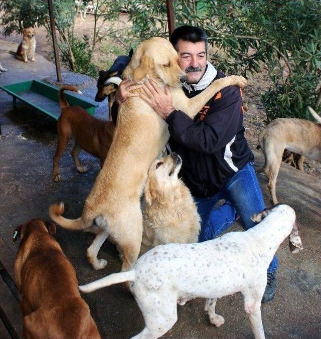 Dizilerin Karakter Oyuncusu İydigül’den Terk Edilen Köpekler Tepkisi