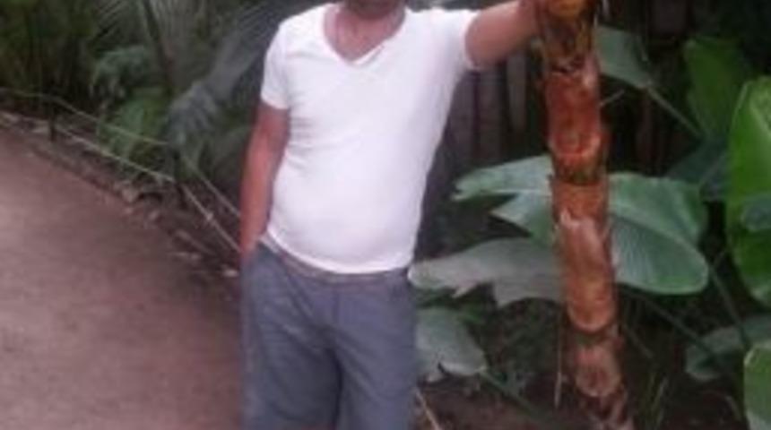 Kuşadası &Ccedil;evre Yolunda Trafik Kazası, 1 &Ouml;l&uuml;